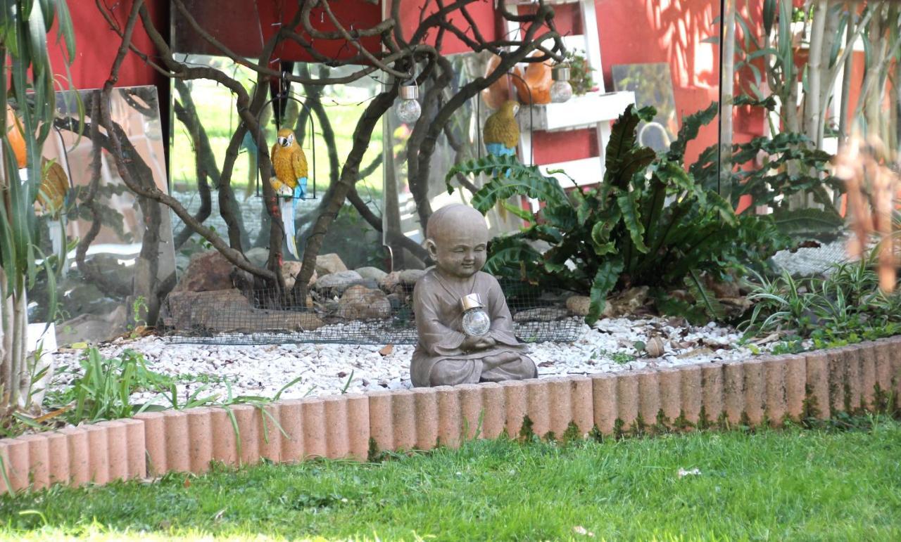 Maison Toulousaine Avec Jardin ตูลูส ภายนอก รูปภาพ