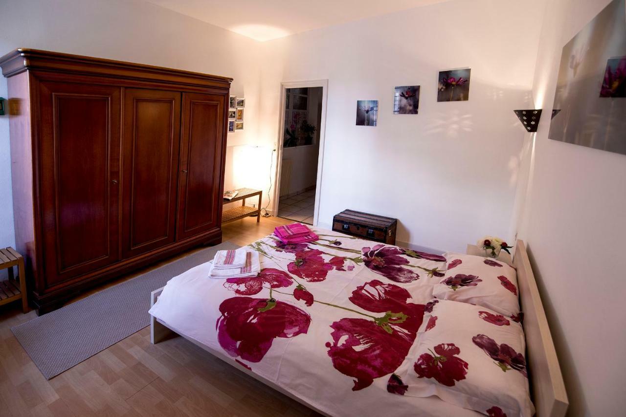 Maison Toulousaine Avec Jardin ตูลูส ภายนอก รูปภาพ